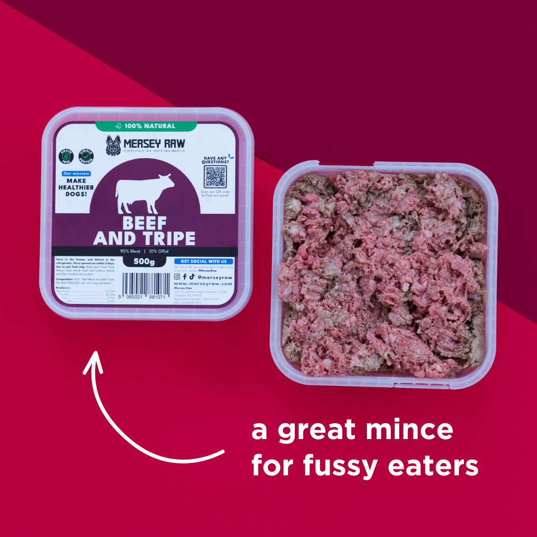 Beef & Tripe Raw Dog Food - 500g