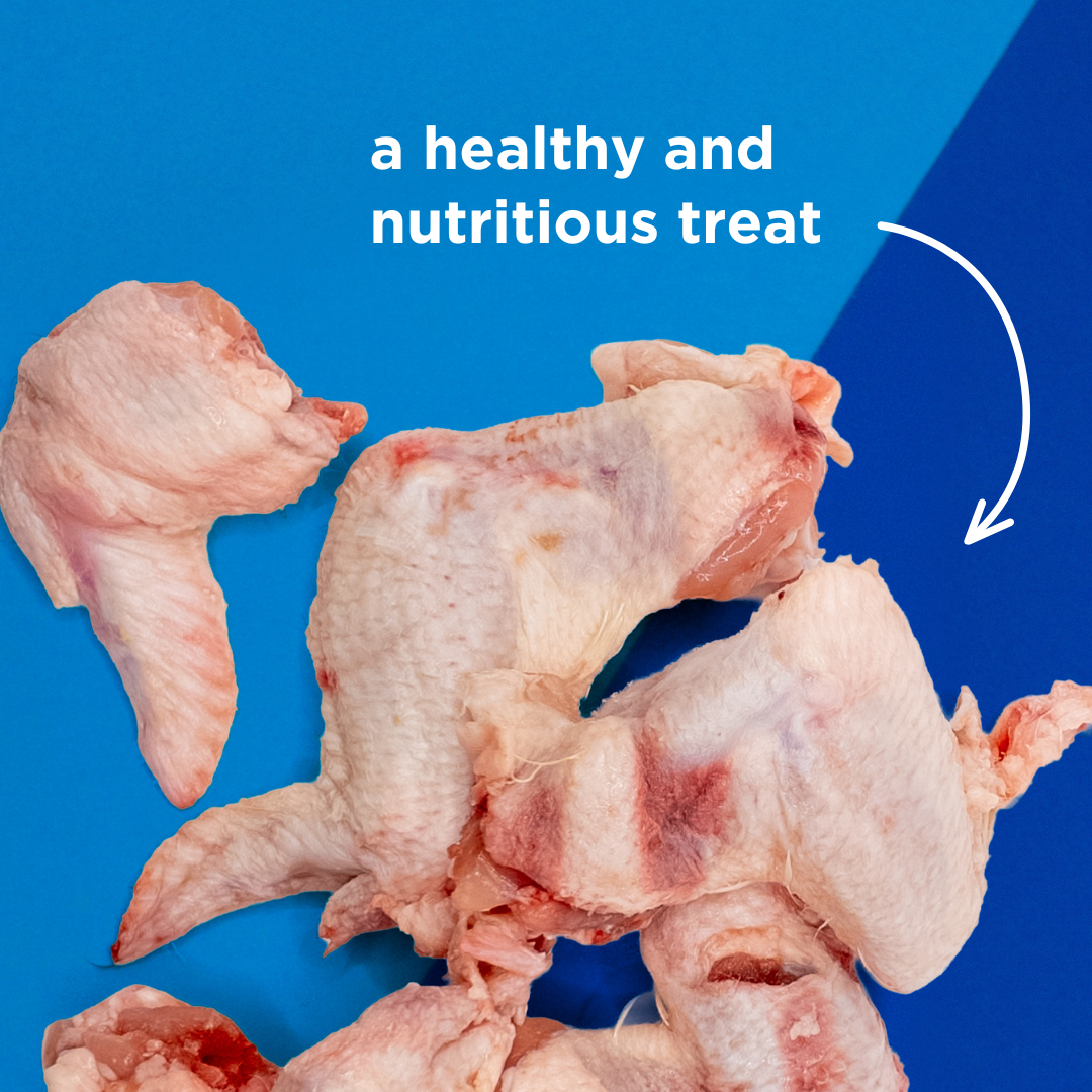 Frozen Chicken Wings - 1kg