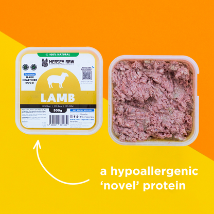 Lamb Raw Dog Food - 500g