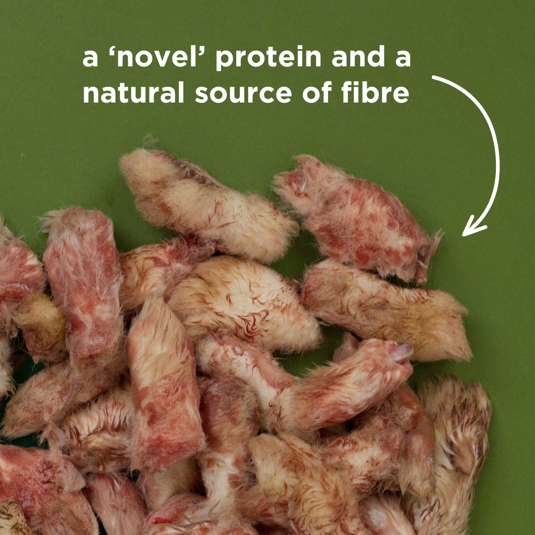 Frozen Rabbit Feet - 1kg