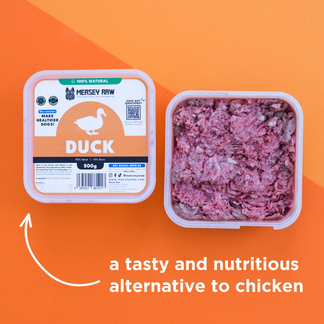 Duck Raw Dog Food - 500g