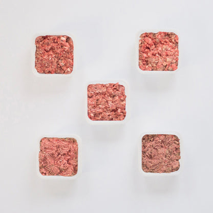 Exotic Raw Dog Food Bundle