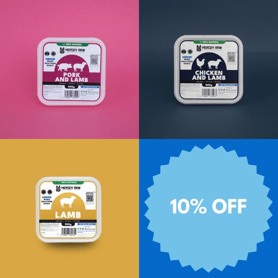 Lamb Lovers Bundle