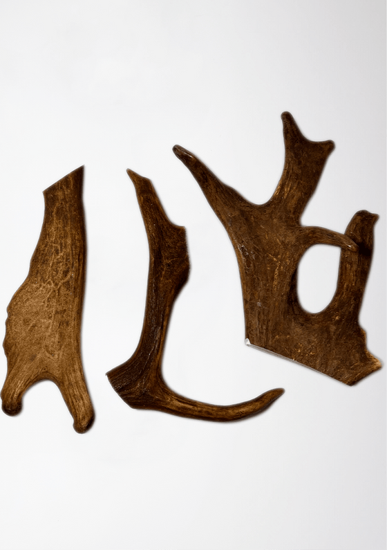 Mersey Raw Dog Food dog treat Natural Deer Antler Chew