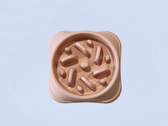 Mersey Raw Dog Food Pink Slow Feeder