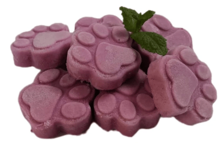 Merseyraw Dog Food Alexander's Natural Blueberry Kefir Pawz