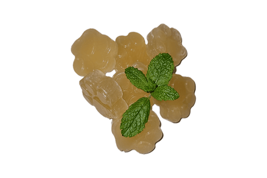 Merseyraw Dog Food Alexanders Natural Duck Pawz