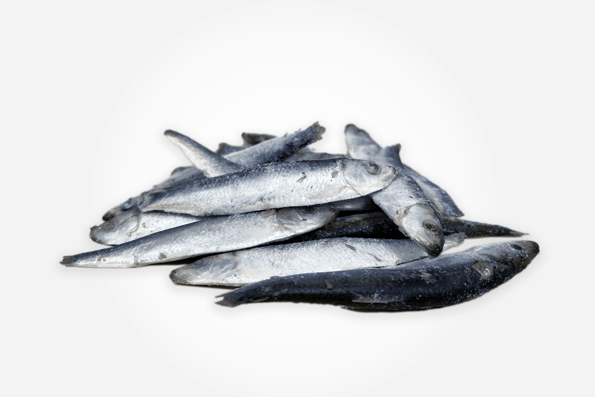 merseyraw Frozen Sprats - 1kg Bag