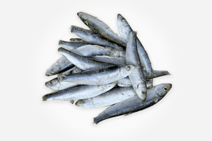 merseyraw Frozen Sprats - 1kg Bag