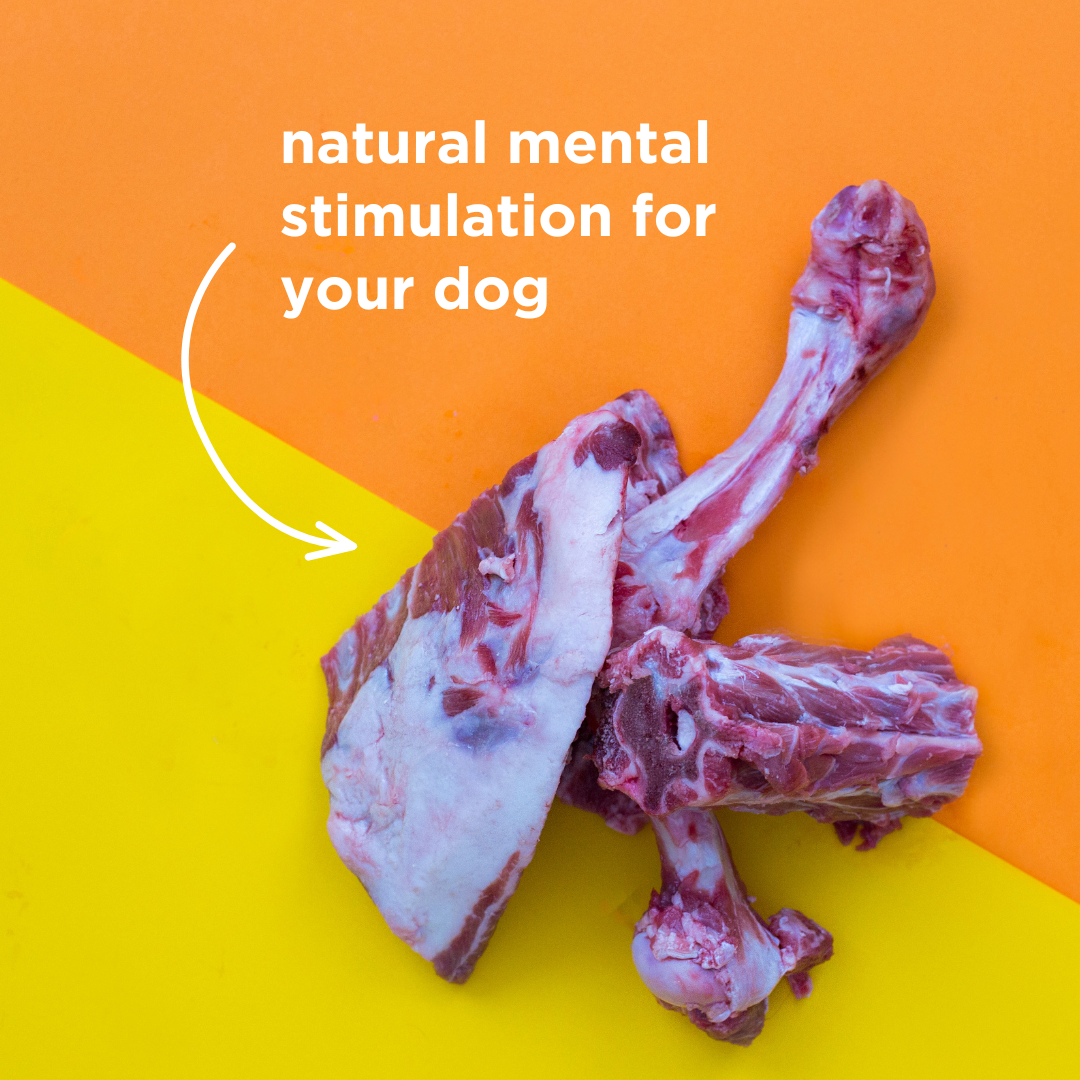 Mixed Bag Raw Lamb Bones - 1kg