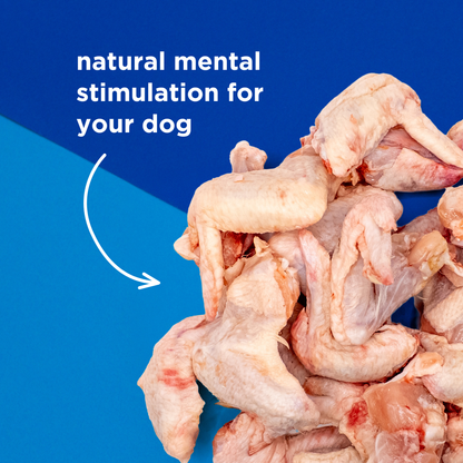 Frozen Chicken Wings - 1kg