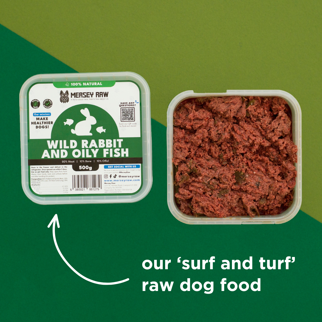 Wild Rabbit & Oily Fish Raw Dog Food - 500g