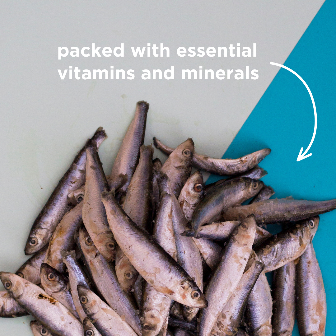 Frozen Raw Sprats - 1kg