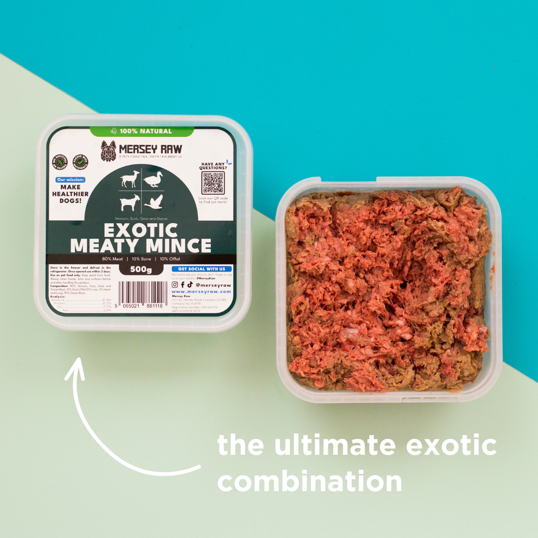 Exotic Meaty Mince Raw Dog Food - 500g