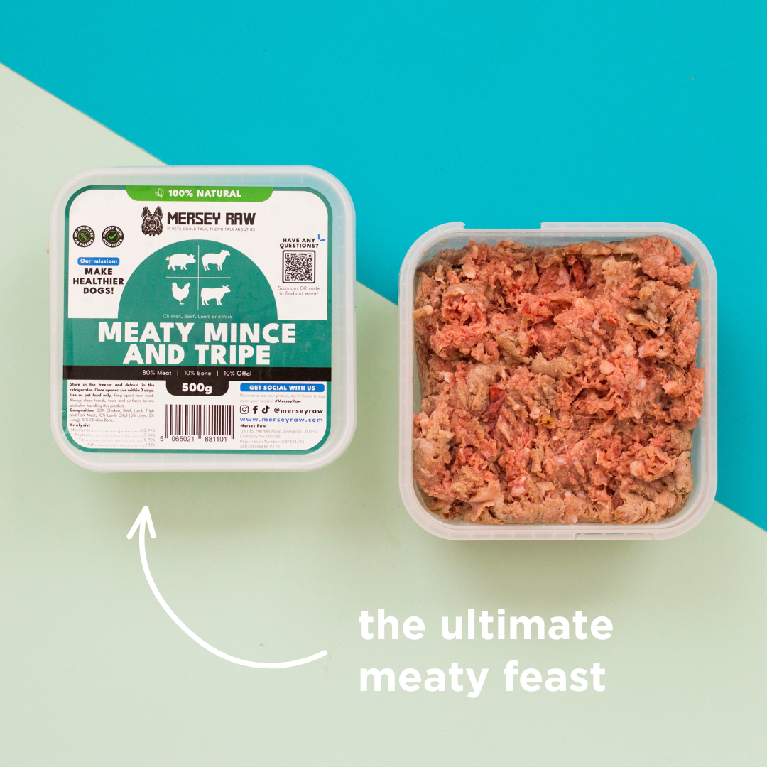 Meaty Mince & Tripe Raw Dog Food - 500g